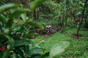 BIB: 
                            <button type="button" onclick="openModal(26200163)" class="btn btn-primary btn-sm float-right btn-popup" data-toggle="modal" data-target=".modal-high-quality">
                        <i class="fas fa-shopping-cart"></i> Add to Cart
                    </button>
                                            <button type="button" onclick="isThisMe(26200163, true)" class="btn btn-success btn-sm float-right btn-popup btn-isme hidden" data-toggle="tooltip" data-placement="bottom" title="นี่คือรูปของคุณใช่ไหม คลิกที่นี่เพื่อเอาเข้าอัลบั้ม">
                        <i class="fas fa-plus"></i> Add to album
                    </button>
                    <button type="button" onclick="isThisMe(26200163, false)" class="btn btn-warning btn-sm float-right btn-popup btn-isnotme hidden">
                        <i class="fas fa-ban"></i> Remove from album
                    </button>